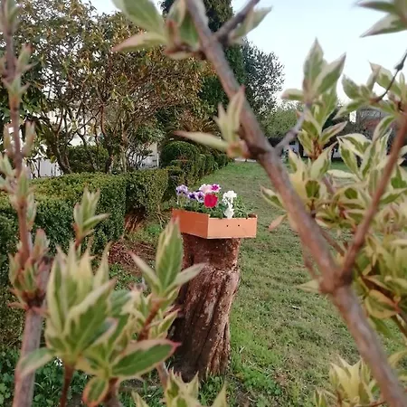 Mini Farm -