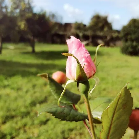 Mini Farm - Δωμάτια σε οικογενειακή κατοικία Βίλα Νόβα ντε Γκάια
