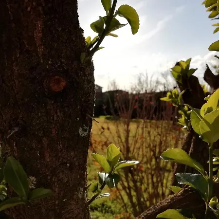 Δωμάτια σε οικογενειακή κατοικία Mini Farm -