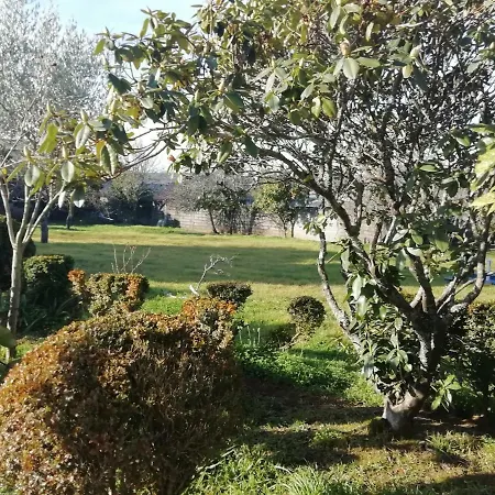 Δωμάτια σε οικογενειακή κατοικία Mini Farm - Βίλα Νόβα ντε Γκάια