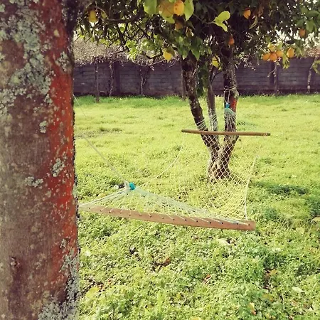 Mini Farm -
